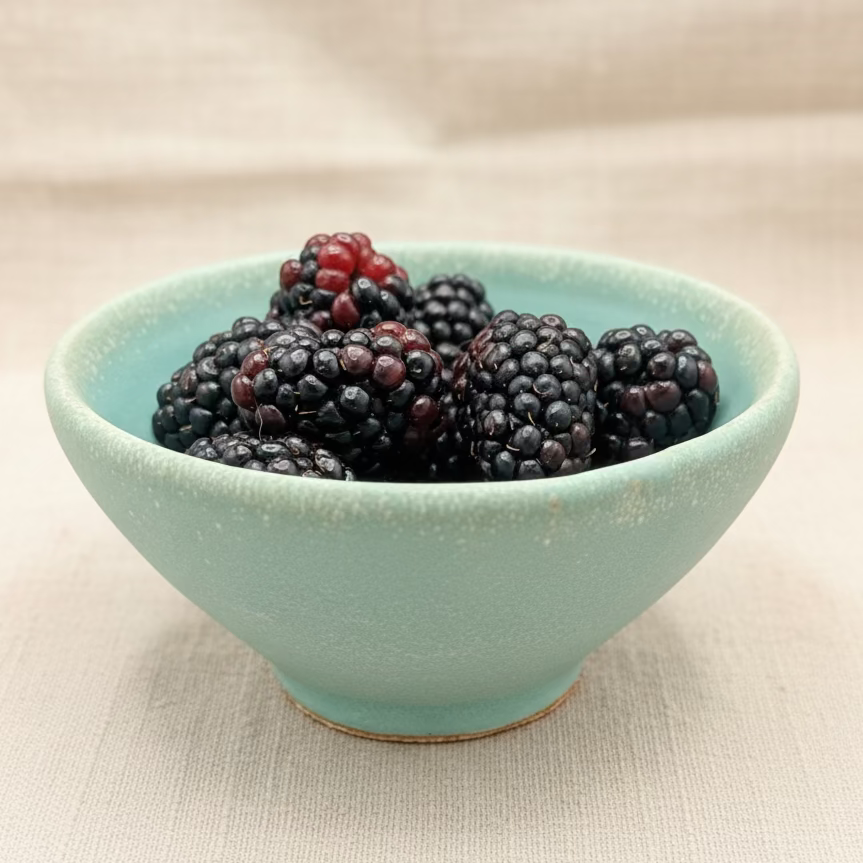 Snack Bowls (Set of Four) - Cienega Collection